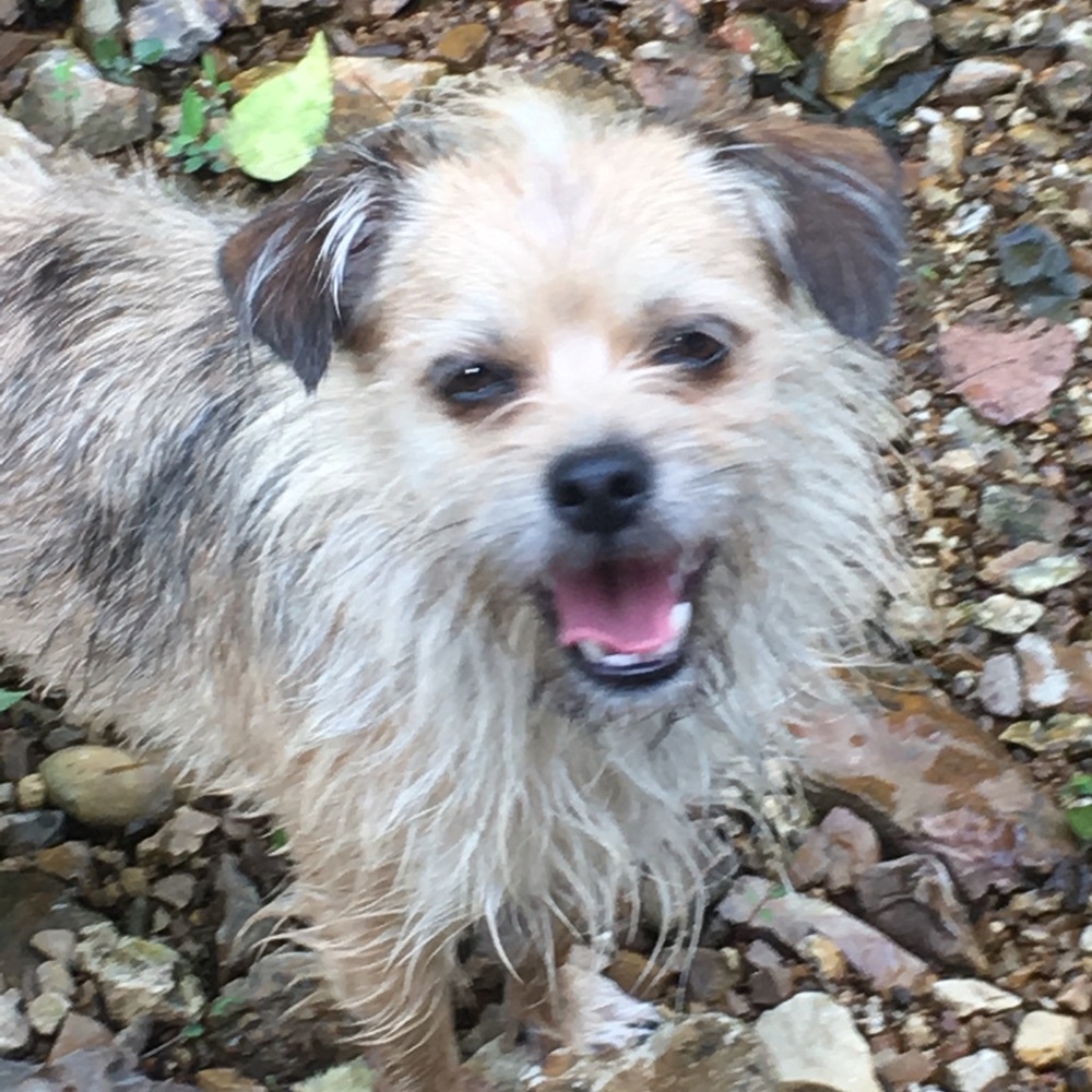 Meet your Posher, Tanya